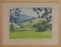 Paysage d'Irlande avec moutons