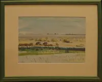 Peinture, aquarelle, Camargue, taureaux